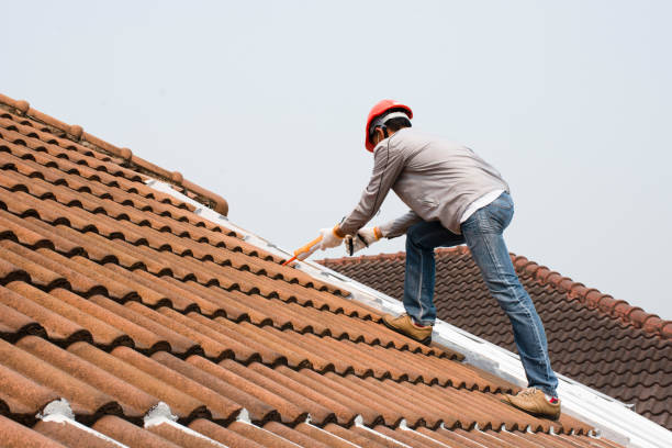 Best Metal Roofing Installation  in Maunawili, HI